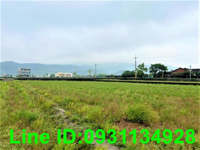 苗栗苑裡農地-3