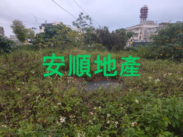 台東台東市建地-2