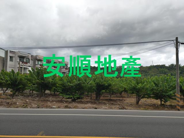 台東卑南農地-4
