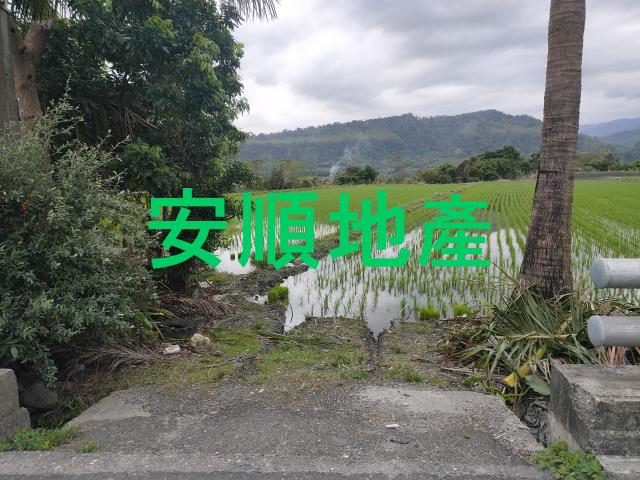 台東鹿野農地-5