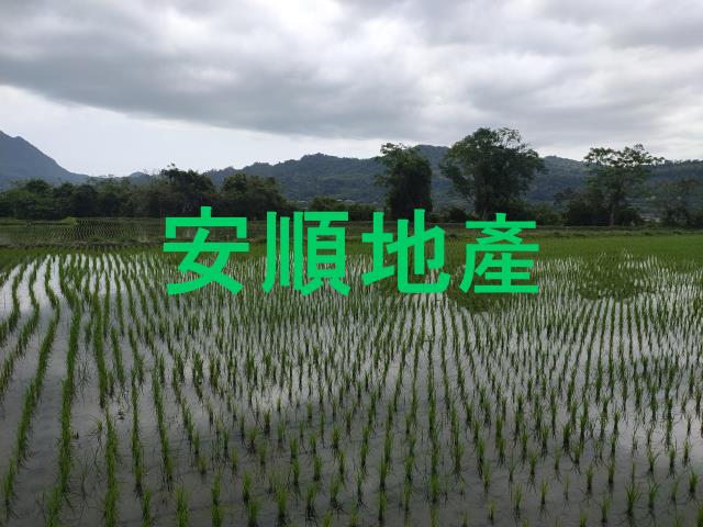 台東鹿野農地-7