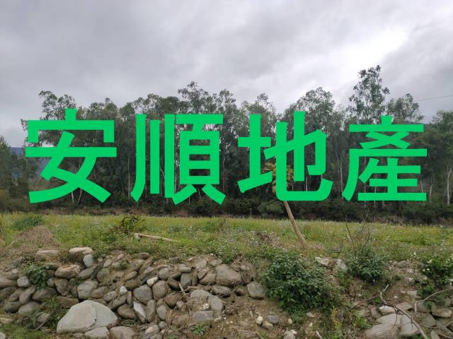 台東鹿野農地-4