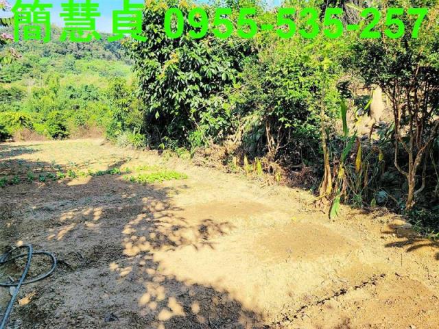 南投草屯農地-1