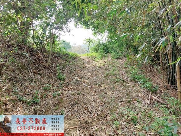 造橋農地-5