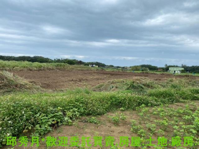 淡水農地-3