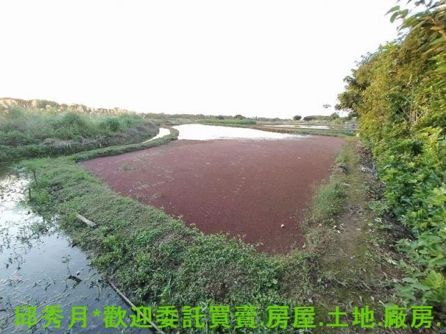 新北農地-3