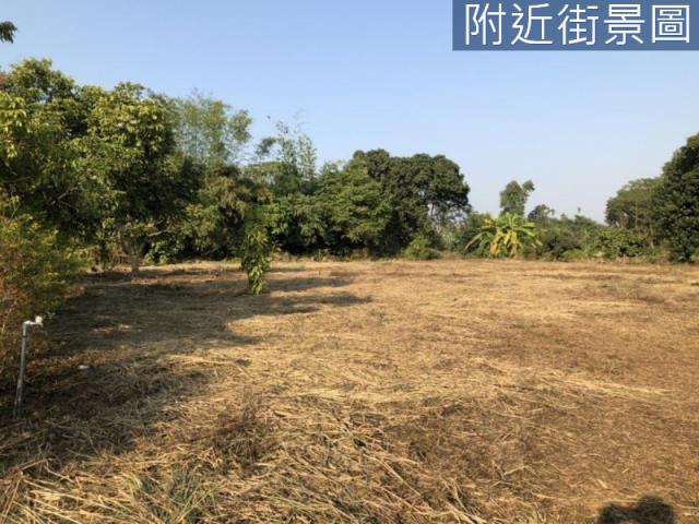 台南農地-3