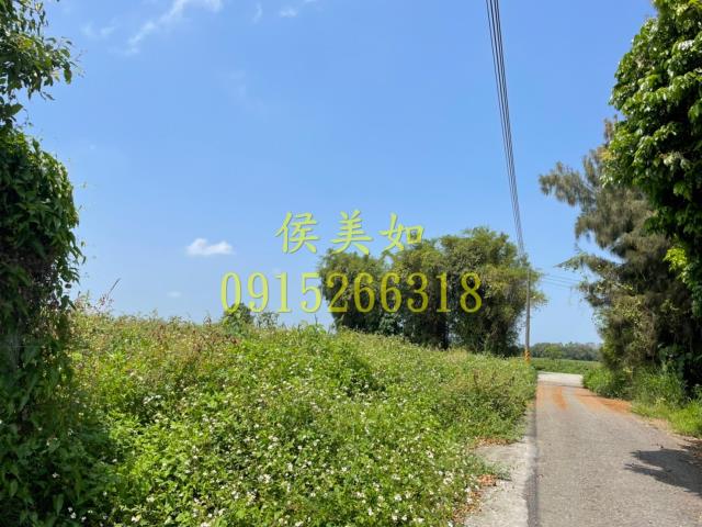 六腳農地-2