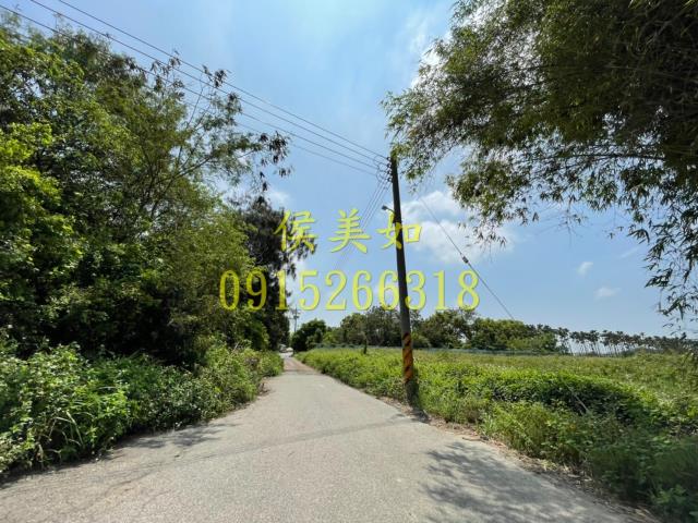 六腳農地-5