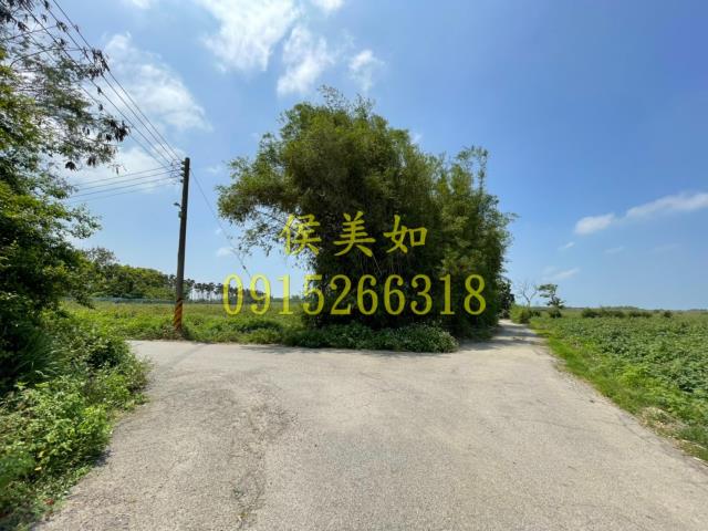 六腳農地-8