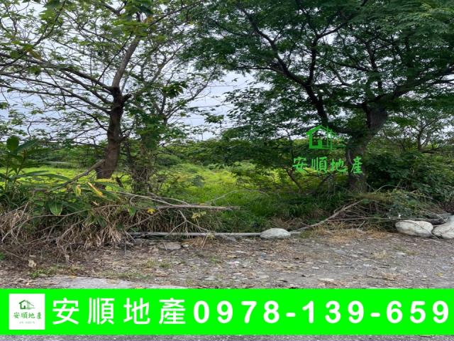 台東市農地-1