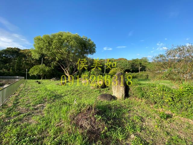 竹崎農地-10