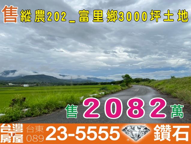 花蓮富里農地-0