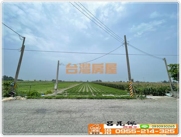 雲林四湖農地-1