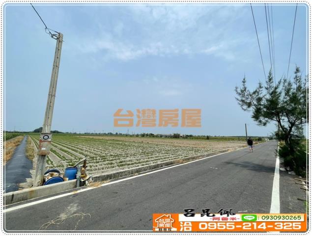 雲林四湖農地-3