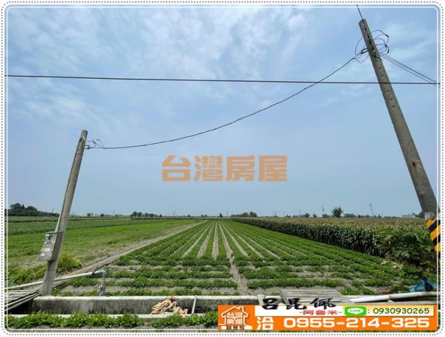 雲林四湖農地-4