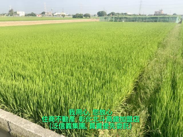 竹塘農地-1
