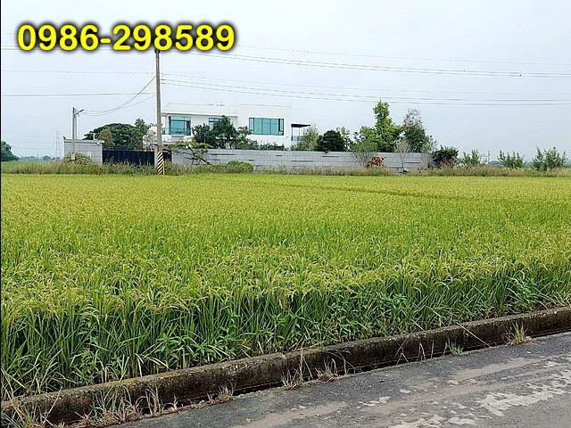 台南白河農地-0