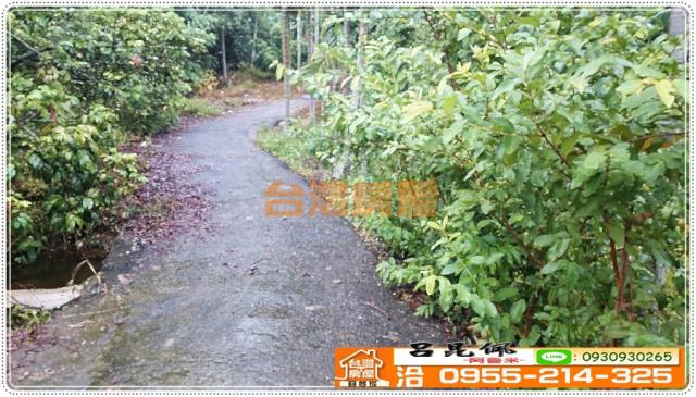 東區農地-3