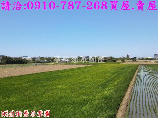西港農地-11