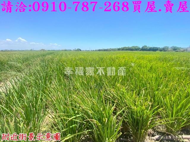 西港農地-13