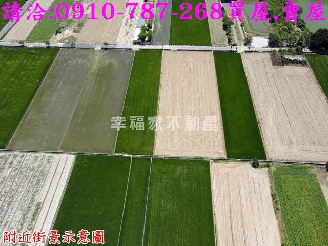 西港農地-3