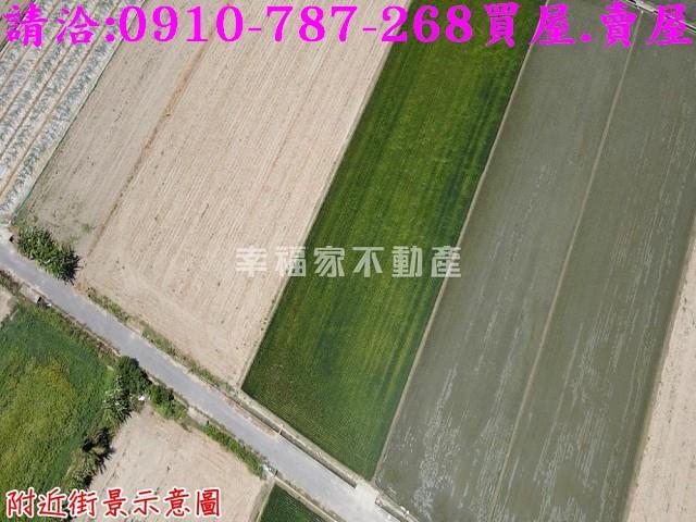 西港農地-8