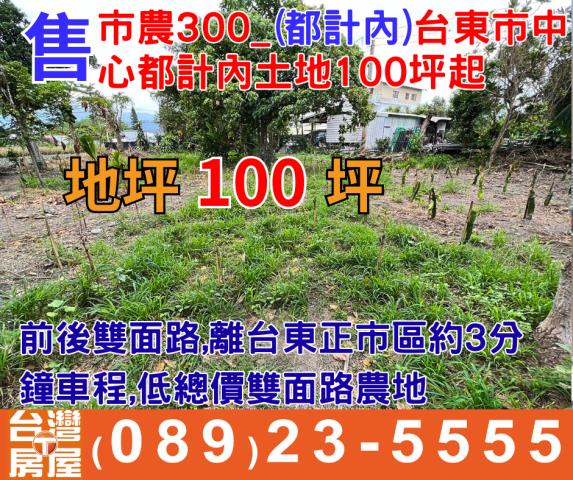 台東農地-0