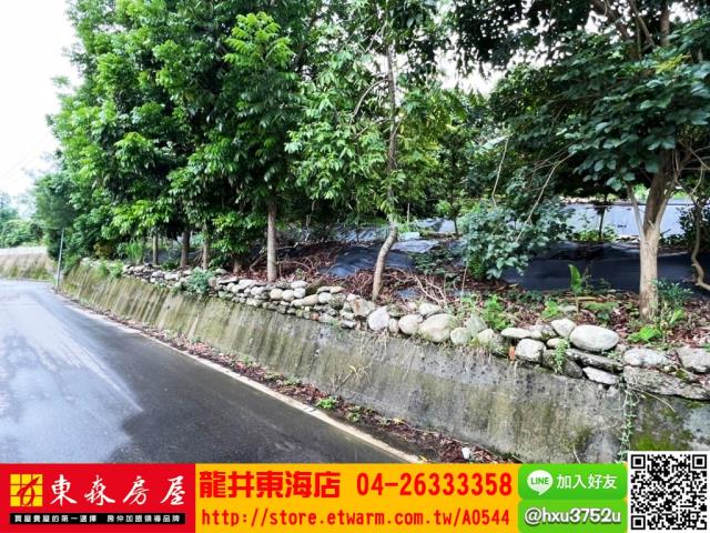 台中豐原農地-1