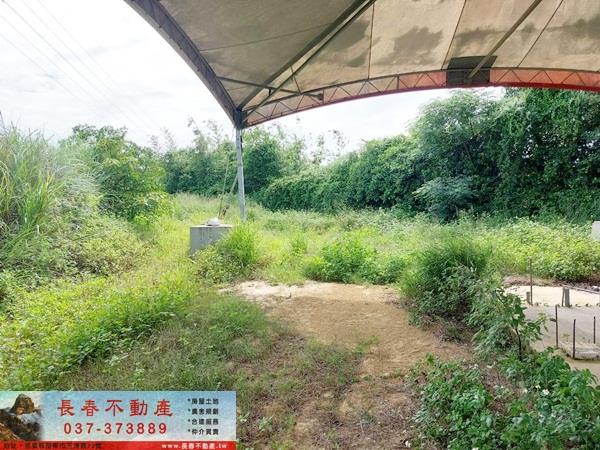 後龍農地-1