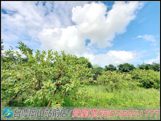 田寮農地-8