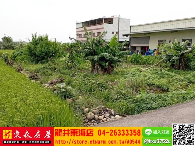 台中清水農地-4