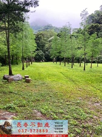 公館農地-1