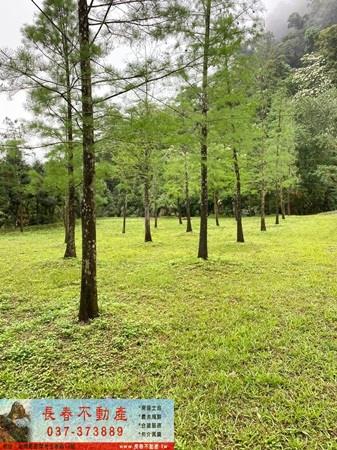 公館農地-2