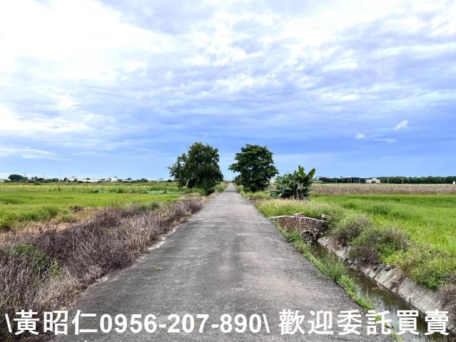 台南農地-0