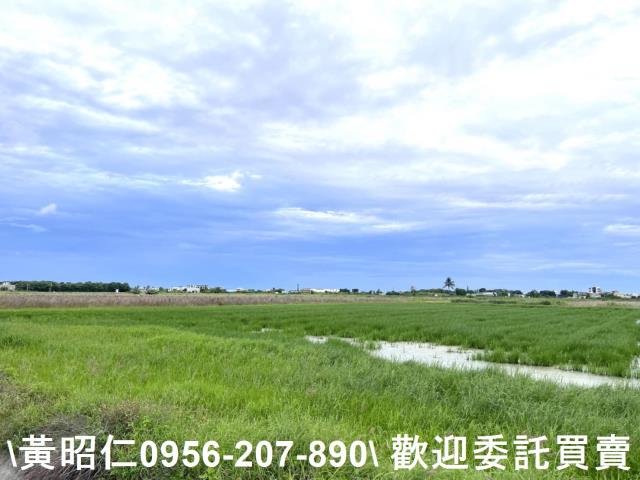 台南農地-2