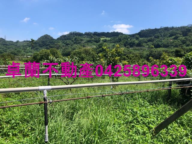苗栗卓蘭農地-5