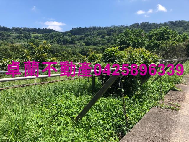 苗栗卓蘭農地-6