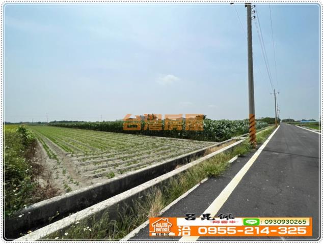 四湖農地-4