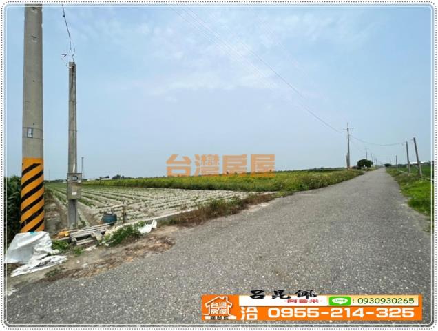 四湖農地-5