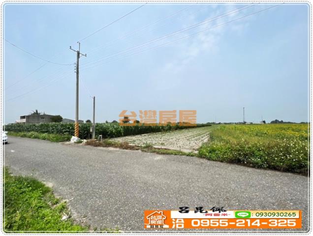 四湖農地-6