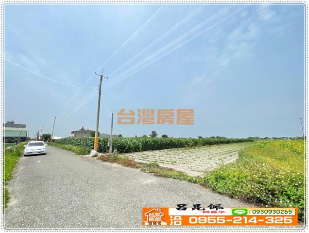 四湖農地-7