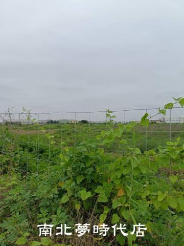 台南麻豆工業地-1