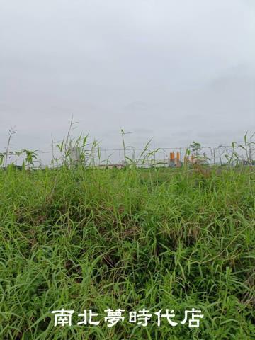 台南麻豆工業地-3