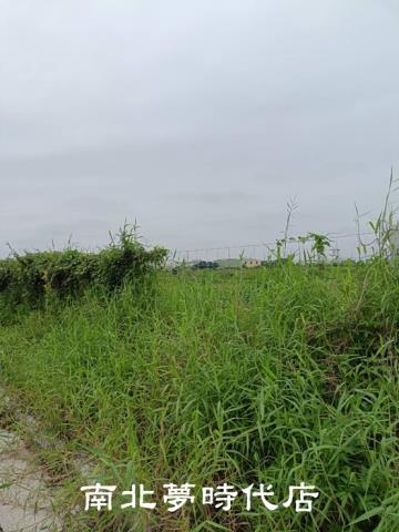 台南麻豆工業地-4