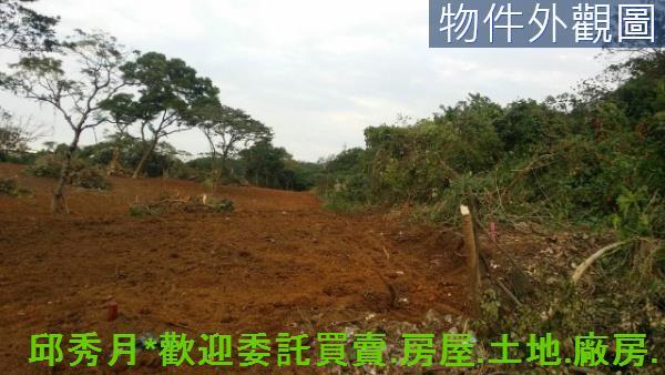 新北淡水農地-5