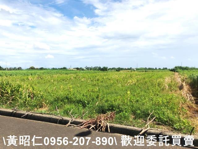 台南農地-3