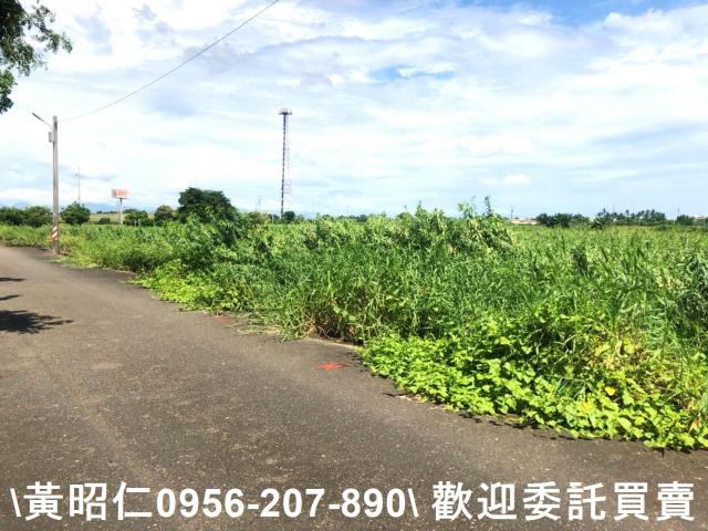 台南農地-4