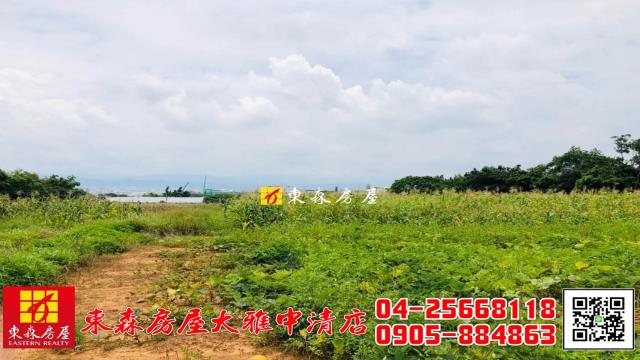 大雅農地-2