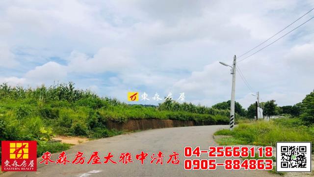 大雅農地-7